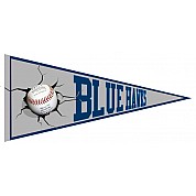 Blue Hawks Vaantje