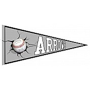 Essex Arrows Pennant