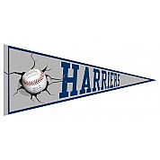 Harriers Vaantje