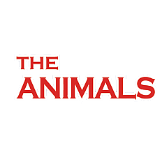 Animals Fans