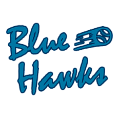 Blue Hawks Fans