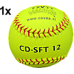 Covee/Diamond SFT-12 Safety (1)