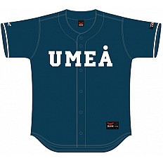 UMEA Team