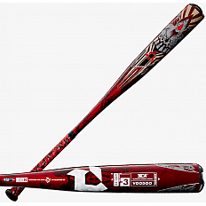 Adult bats