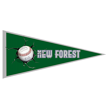 BanderinNew Forest Thunderknights