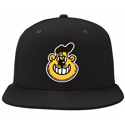 Skelleftea Pet, Bear Logo