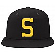 Skelleftea Pet, S-Logo