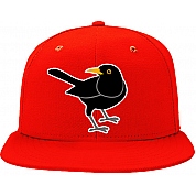 Wolfsburg Blackbirds Cap: Red