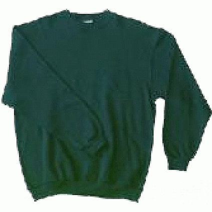 Sweater, Groen