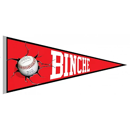 Binche Guardians Vaantje