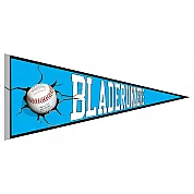 Sheffield Bladerunners Pennant