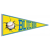 Blue Birds Pennant