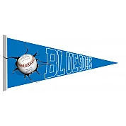 Blue Socks Pennant