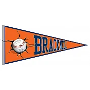 Pennant di Bracknell