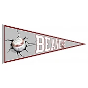 Broxtowe Beavers Vaantje