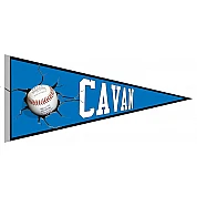 Cavan Comets, il vessillo