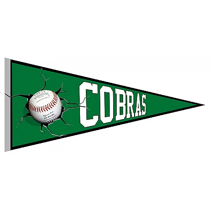 BC Contois cobras Pennant
