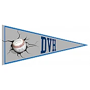 DVH Amstelveen Pennant