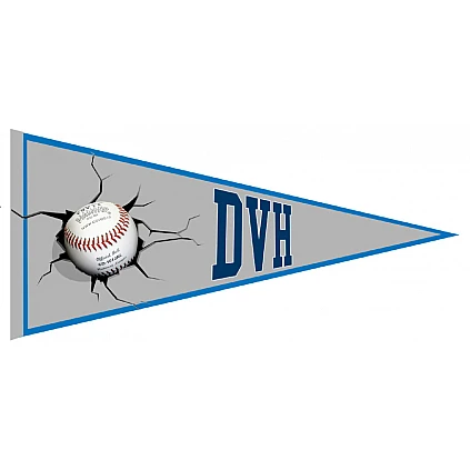 DVH Amstelveen Pennant