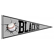 Dublin Black Sox Pennant