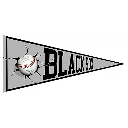 Dublin Black Sox Pennant