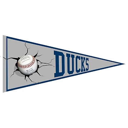 Ducks Pennant