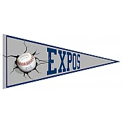 Espoo Expos Vaantje