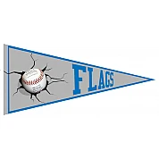 Flags Pennant