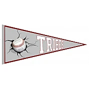 Galway Tribes Pennant