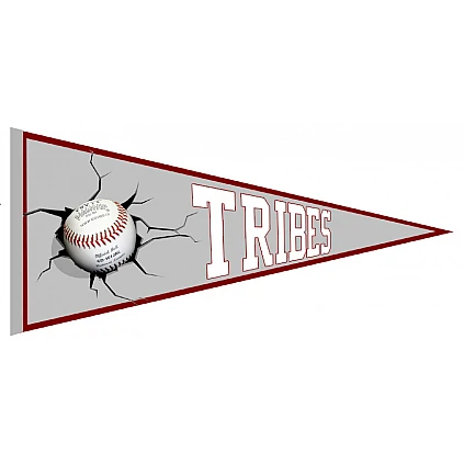 Galway Tribes Pennant