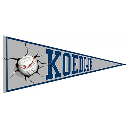 Koedijk Pennant