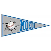 Mokum Hawks Pennant