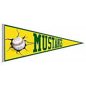 Mustangs Venlo Vaantje