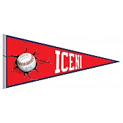 Banderin Norwich  Icen
