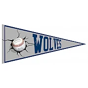 Pennant dell'Odense Wolves