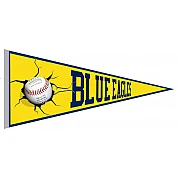 Pennant delle Aquile Azzurre di Ricklingen