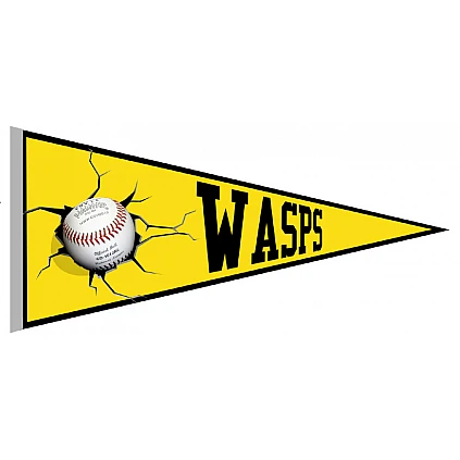 Romford Wasps Vaantje