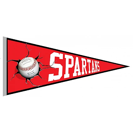 Dublin Spartans Pennant