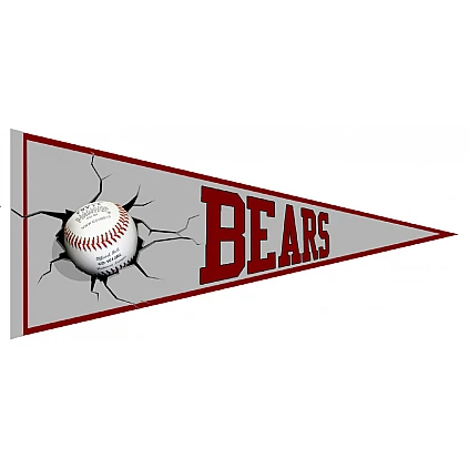 Bournemouth Bears Pennant