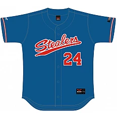 Hamburg Stealers Team