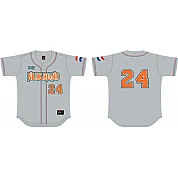 Camisa de  Holanda, Juegos Olímpicos de Atenas, gris