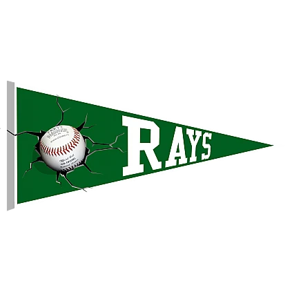 Braintree Rays Pennant