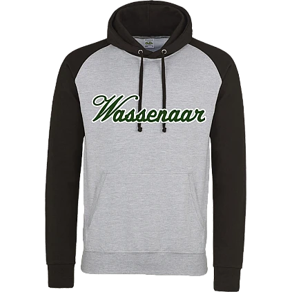 Felpa con cappuccio a contrasto Wassenaar
