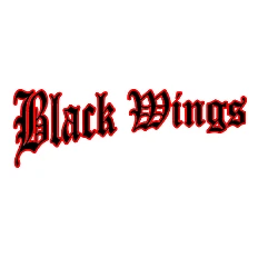 Hanau Blackwings Fans
