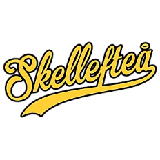 Skelleftea Fans