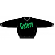 Chaqueta PolyMicro Augsburg Gators