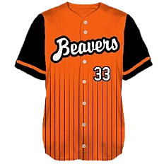 Bargenstedt Beavers Team