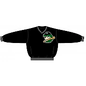 Buxtehude Hedgehogs PolyMicro Pullover Jack