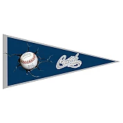 Banderin Catch