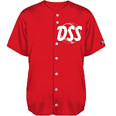 Squadra DSS Haarlem